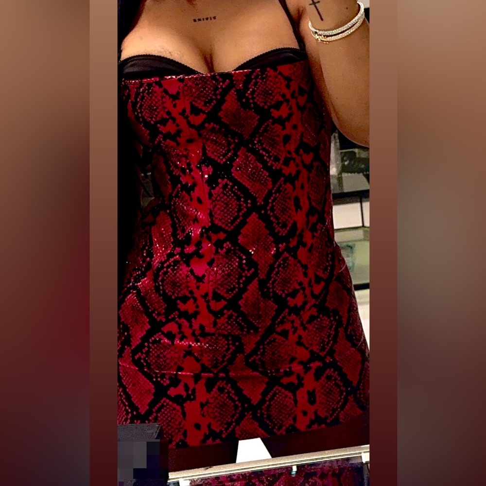 Miaou Leather Red Snake Print Strapless Top and Skirt Set